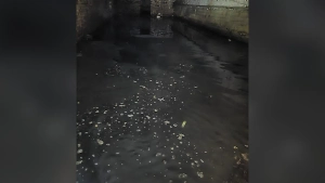 Жильцы дома в Астрахани рядом с обрушившимся бьют тревогу из-за воды в подвале