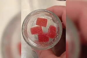 Егоза лишила туриста мармеладок с запрещёнкой в Шереметьево