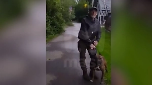«Вот тебе!» В Новой Москве неадекватный собачник натравил бойцовского пса на соседку — видео