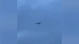 Появилось видео с пролётом украинского беспилотника в Липецкой области