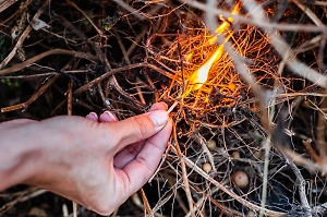 В Турции мужчина устроил лесной пожар, пытаясь сжечь клеща