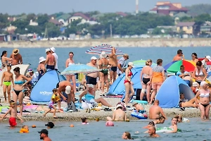 «Такое даже «Бразерс» не снимает»: В Геленджике предупредили туристов о похотливых дельфинах