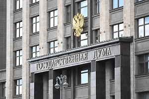 В Госдуме россиянам рассказали, чем грозит кормление птиц у подъездов