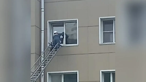 На Сахалине развернулась операция по спасению чёрного кота, застрявшего в окне