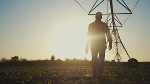 Сельхозпредприятие под Белгородом попало под удар дрона ВСУ, ранены 7 человек