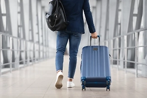 Во Внуково полиция с собаками проверяет подозрительный багаж пассажира