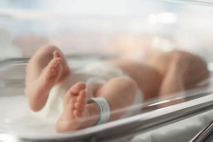 Стало известно количество новорождённых в России в 2025 году