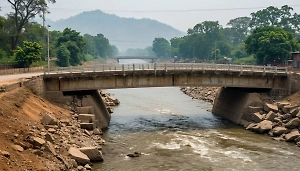 Не менее 9 человек погибли в результате обрушения моста на западе Индии