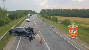 Жуткое столкновение BMW и автобуса с детьми на М-5 унесло жизни людей, 6 ребят в больнице