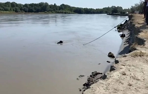 В реке Терек в Чечне спустя пять дней нашли тело пропавшего семилетнего мальчика