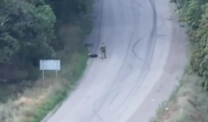 «В обмен не попадёт»: Дрон снял, как солдат ВСУ хладнокровно убил женщину на дороге