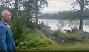 Дмитриев рассказал Life.ru о встрече с медведем на Аляске: Это он нас испугался