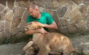 Глава Крыма наградил сотрудников сафари-парка Тайган, спасших Зубкова ото льва