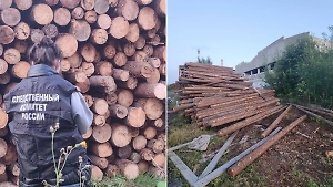 Двух мальчиков насмерть придавало брёвнами на пилораме в Пермском крае