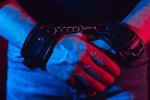 Полицейский потрогал грудь OnlyFans-модели и потерял работу