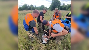 В российском лесу нашли пропавшую 110-летнюю пенсионерку