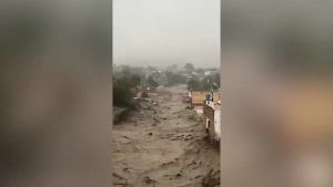 Более 660 человек погибли и 929 пострадали из-за муссонных дождей в Пакистане