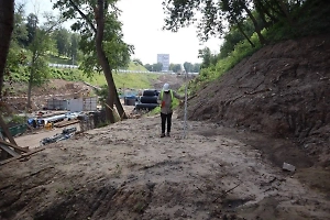 Археологи обнаружили зуб молодого мамонта в центре Нижнего Новгорода