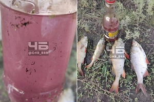 В Алтайском крае река Кучук окрасилась в розовый цвет и погубила рыбу