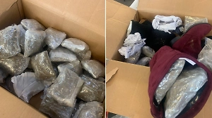 Марихуану на 10 млн нашли российские таможенники в посылке из США среди обуви и перца