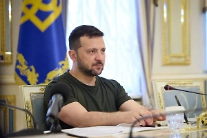 «А чего нервничает?» В Совфеде отреагировали на панику Зеленского из-за встречи Путина и Трампа