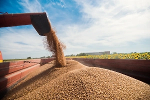 В Китае в восторге от «соевого трюка» России, ставшего пощёчиной для Трампа