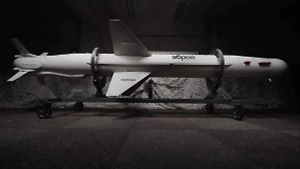 «Найдётся лекарство»: Эксперт оценил «загадочную» украинскую ракету «Длинный Нептун» 