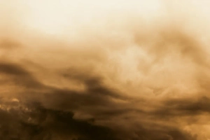 Появилось видео паники на фестивале Burning man из-за песчаной бури, в лагере – россияне