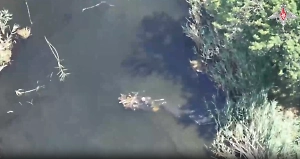 ‎Воины Черномора? Появилось эпичное видео выхода «‎русских богатырей» из воды на штурм Филии