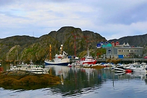 «Вбивают клин»: Дания обвинила США в попытке обходным путём забрать Гренландию 