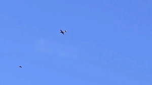 Погоню кукурузника за российским БПЛА в небе Одессы сняли на видео