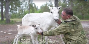 В Московском зоопарке рассказали, как дела у подаренного Путину северного оленёнка