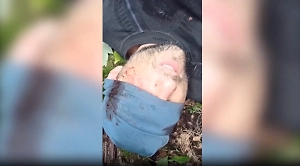 Оружие, тела и пленные на земле: На видео сняли место разгрома украинской ДРГ под Брянском