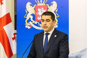 Глава парламента Грузии осадил ЕС за попытки навязать ненависть к России