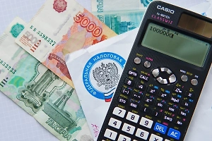 Россиянам объяснили, как получить максимальный налоговый вычет в 2025 году