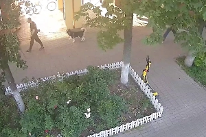 В Химках участковый поймал уголовника, укравшего доверчивую собаку в парке