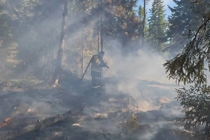 На нежилом острове Валаамского архипелага третий день бушует пожар