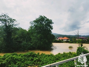 Спасатели эвакуируют детские тургруппы из зоны наводнения на Кубани