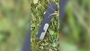 В Псковской области сбили украинский дрон с надписями