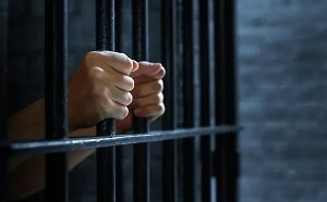 Коты в помощь: Заключённые в СИЗО теперь могут получать мемы 