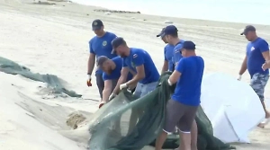 В Анапе очистили последний участок с защитным валом от мазута