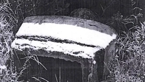 На Украине снесли последний памятник Ленину