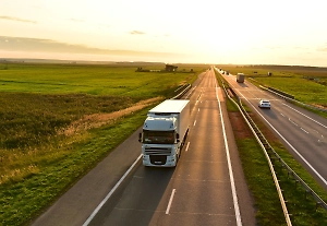 Литва попросила ЕК помочь вернуть свои фуры из Белоруссии