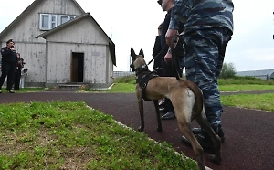 В КБР ликвидировали трёх террористов