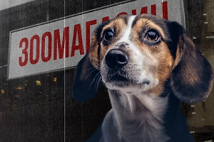 А вы задумывались, куда исчезают непроданные животные из зоомагазинов? Life.ru узнал горькую правду