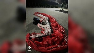 Украинец без документов пытался сбежать в Молдавию на параплане за 500 евро