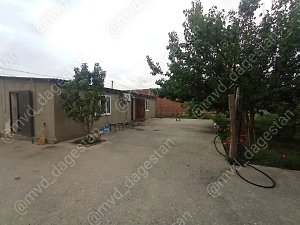 62-летний дагестанец с ружьём взял в заложники бывшую жену и её сестру