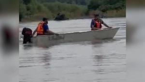 В Чечне вторые сутки ищут пропавшего 7-летнего мальчика из села Верхний Наур