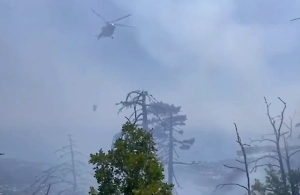 Туристов не пускают на Ай-Петри из-за масштабного лесного пожара в Крыму