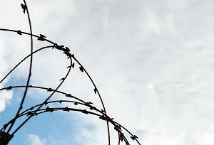 «Авось, застрянут»: Киев придумал, как защитить трубы от российских штурмовиков